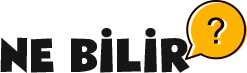 Her Şey Burada – NeBilir.Com